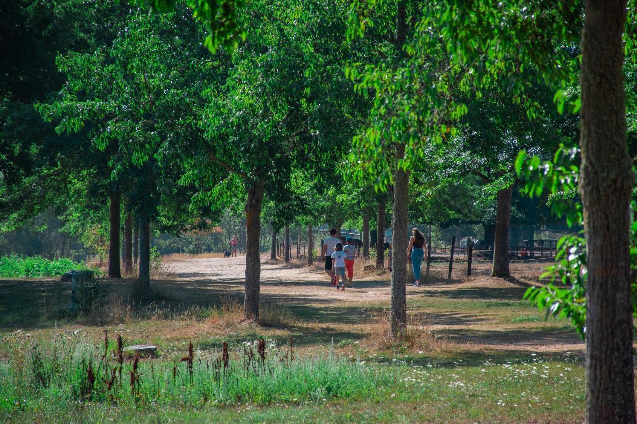 Village de gîtes de la Forêt de Ganigal Le Malzieu-Ville Extérieur photo